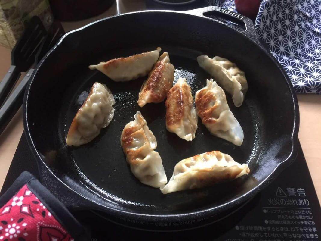 Gyoza cooking in a cast iron skillet made by Lodge.